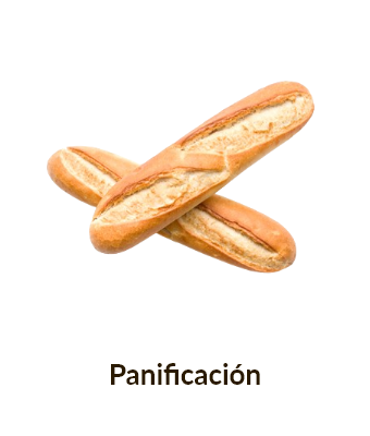 Panificacion